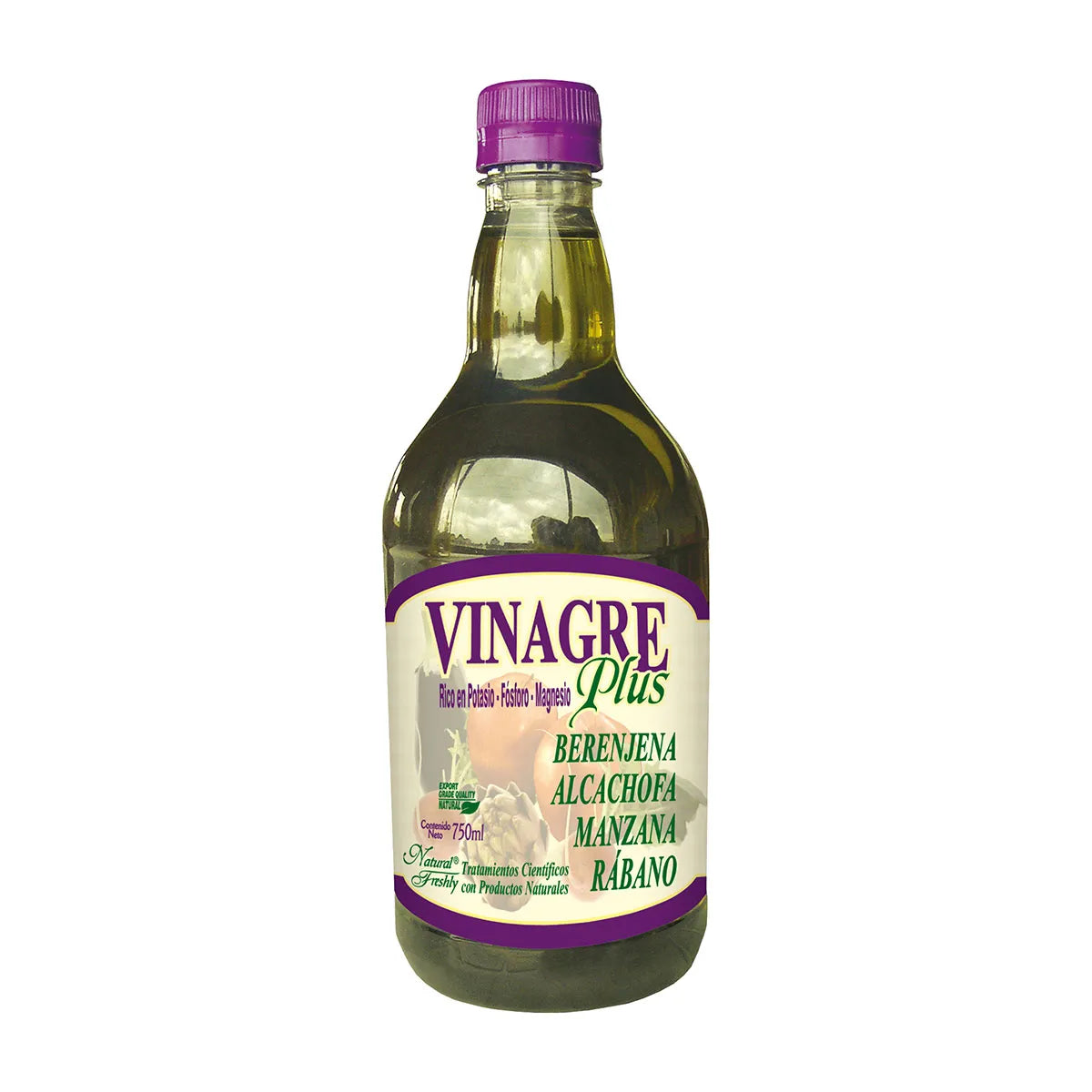 VINAGRE PLUS MANZANA BEREN/ALCA/ X 375