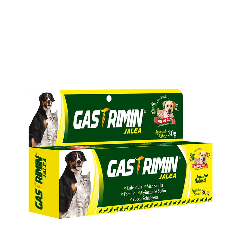 P&C GASTRIMIN JALEA Tubo x 30g