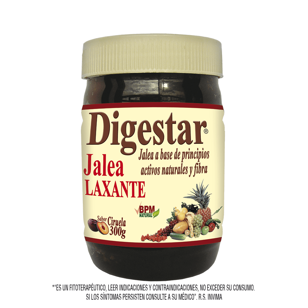 Digestar jalea 300 g