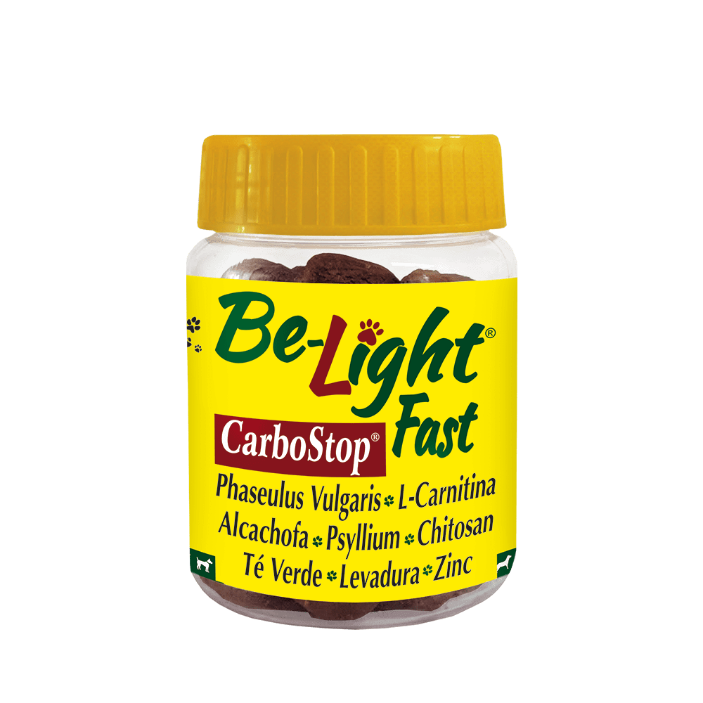 P&C belight fast carbostop x 50 vitacrunch