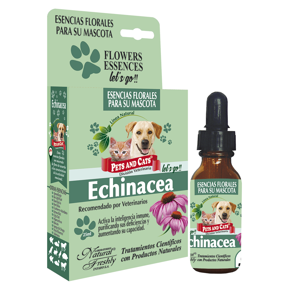 P&C esencia echinacea lets go