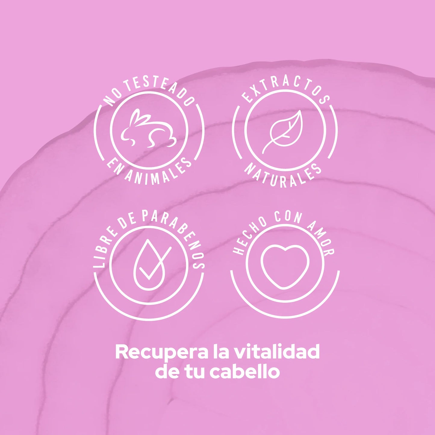 ACONDICIONADOR CEBOLLA ANYELUZ