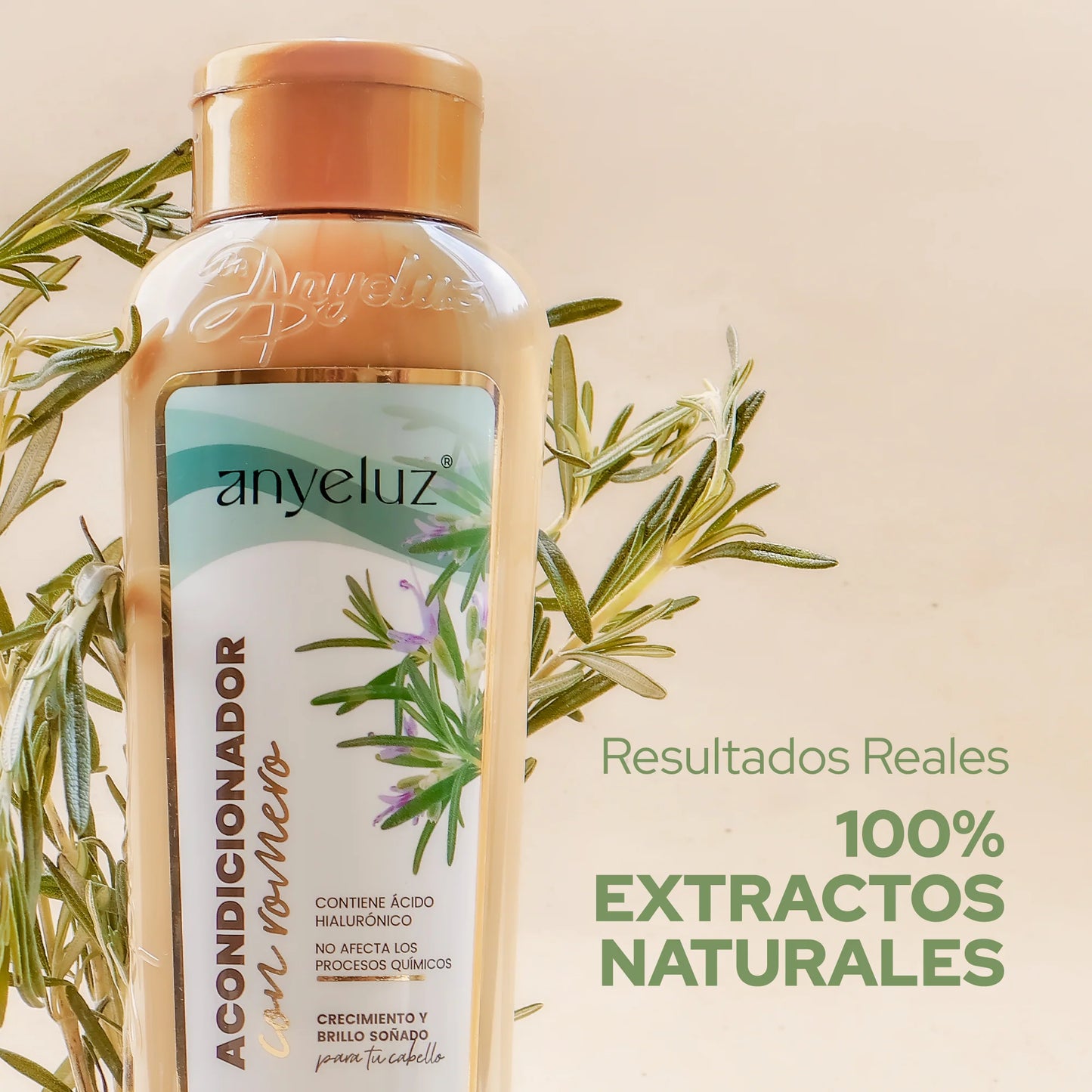 ACONDICIONADOR DE ROMERO ANYELUZ