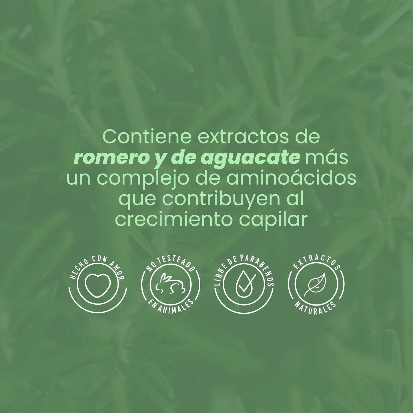 BIOTERAPIA CON ROMERO ANYELUZ