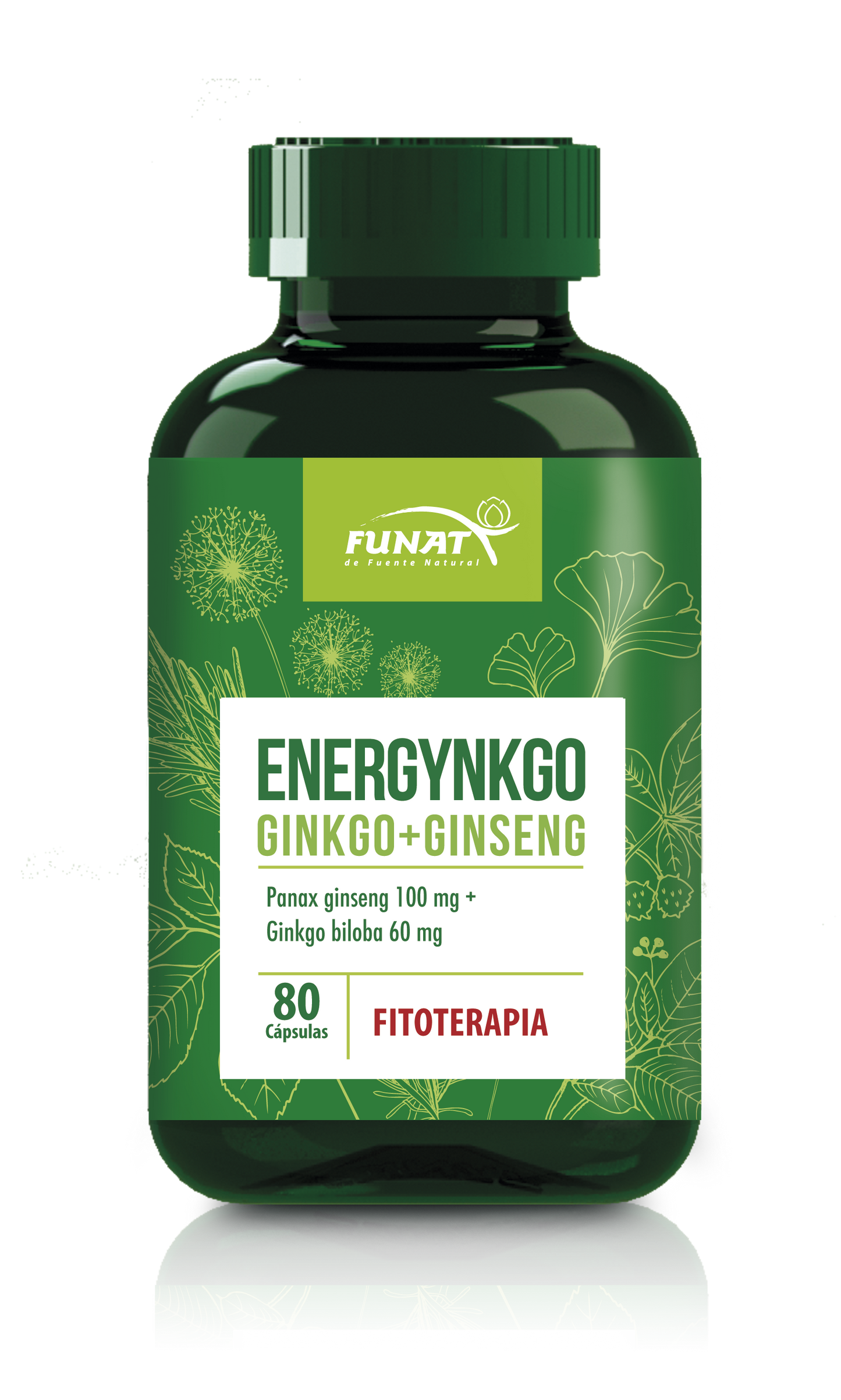 ENERGYNGO GINKGO + GINSENG X 80 CAP
