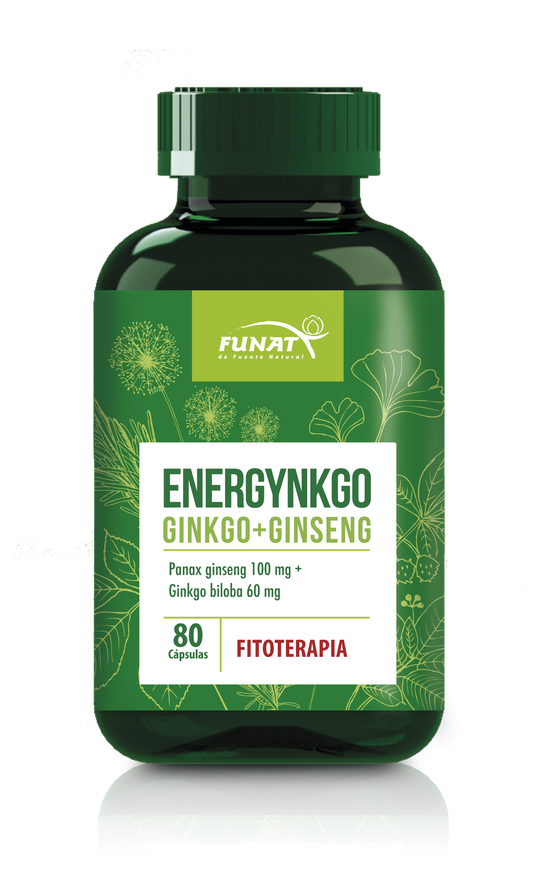 ENERGYNGO GINKGO + GINSENG X 80 CAP