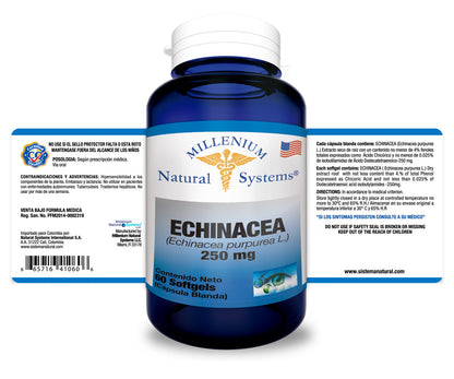 ECHINACEA DE X 60 CAP SYSTEMS