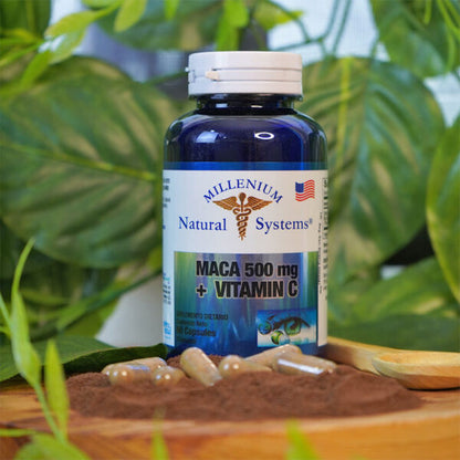 MACA X 60 CAP DE 500MG SYSTEMS