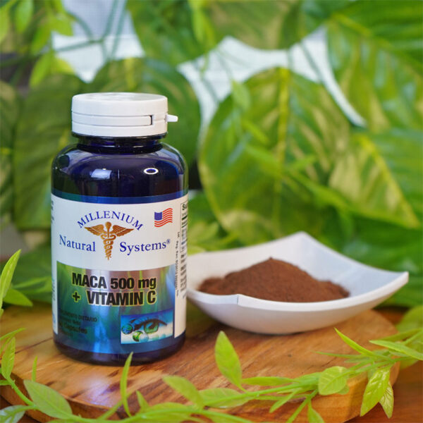 MACA X 60 CAP DE 500MG SYSTEMS
