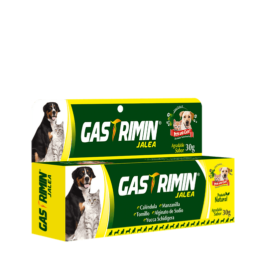 P&C GASTRIMIN JALEA Tubo x 30g