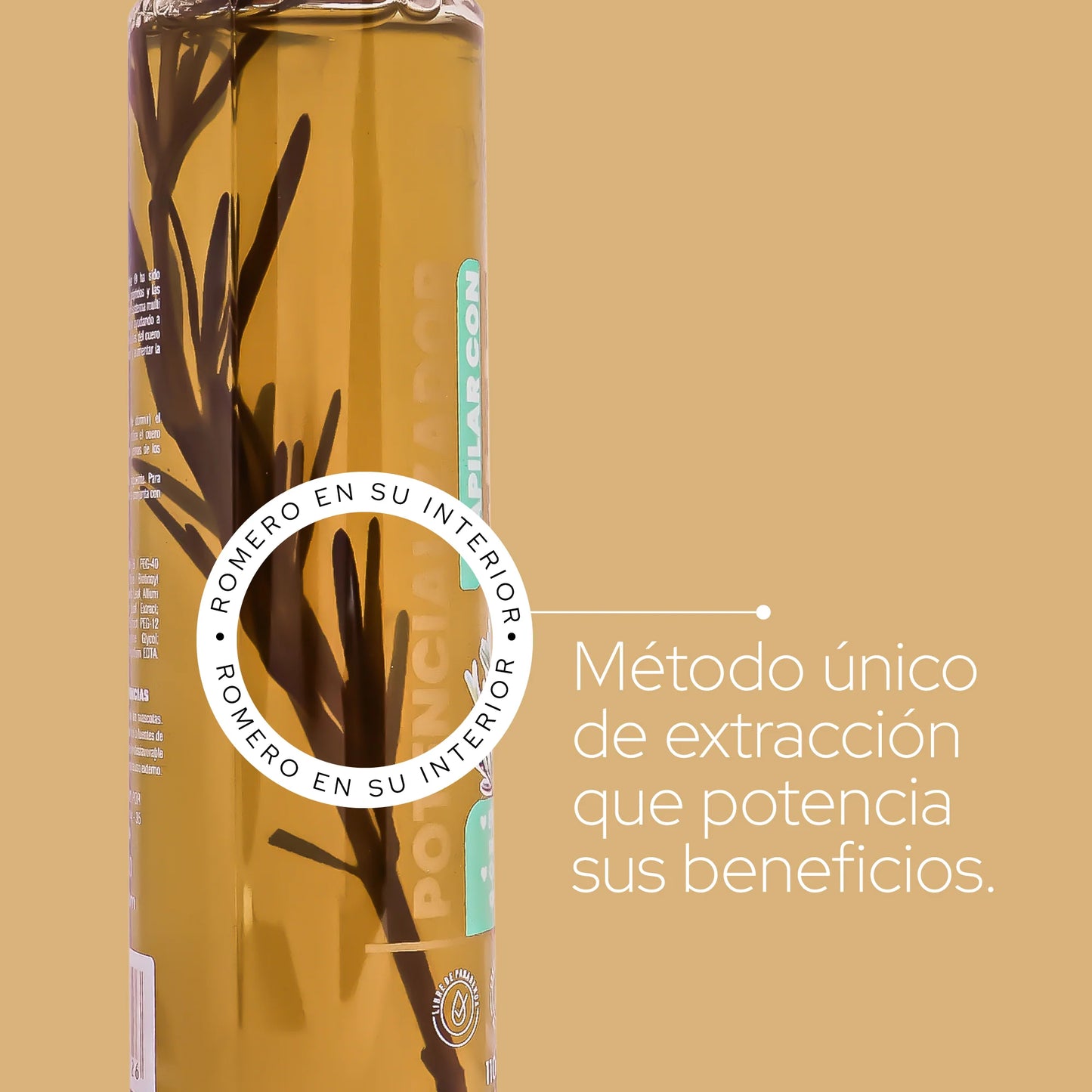 POTENCIALIZADOR CON ROMERO ANYELUZ