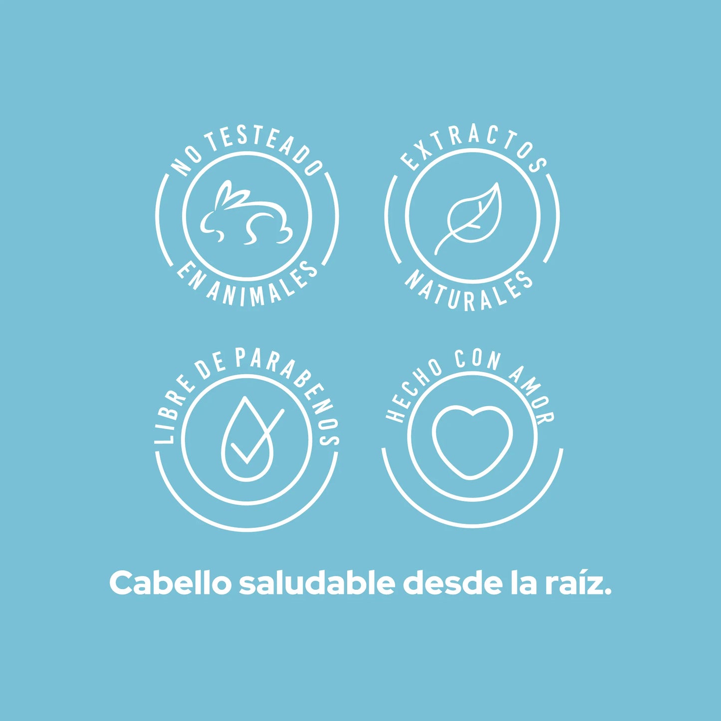 SHAMPOO ANTICASPA ANYELUZ