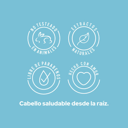 SHAMPOO ANTICASPA ANYELUZ