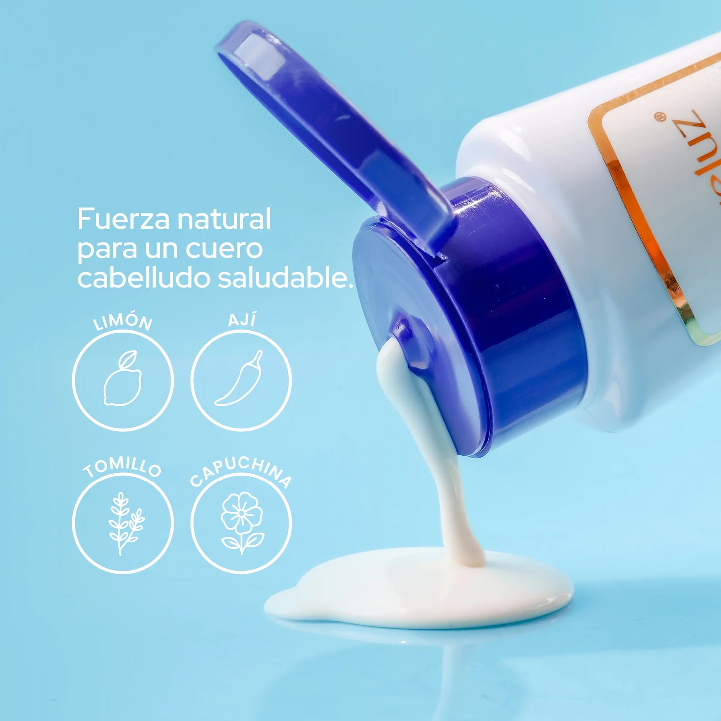 SHAMPOO ANTICASPA ANYELUZ