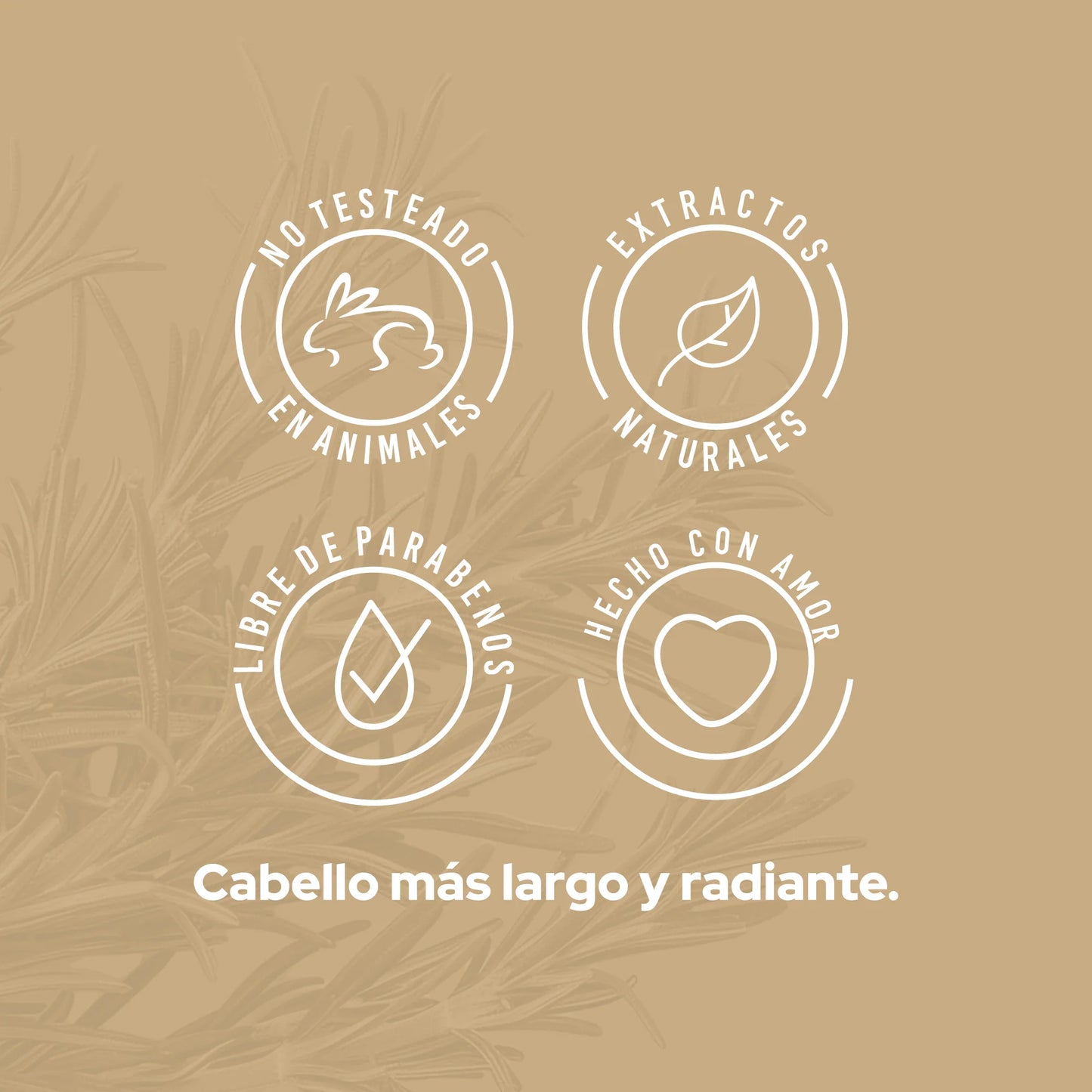 SHAMPOO ROMERO ANYELUZ