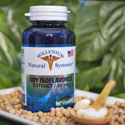 SOY ISOFLVONES X 60 CAPSISTEM
