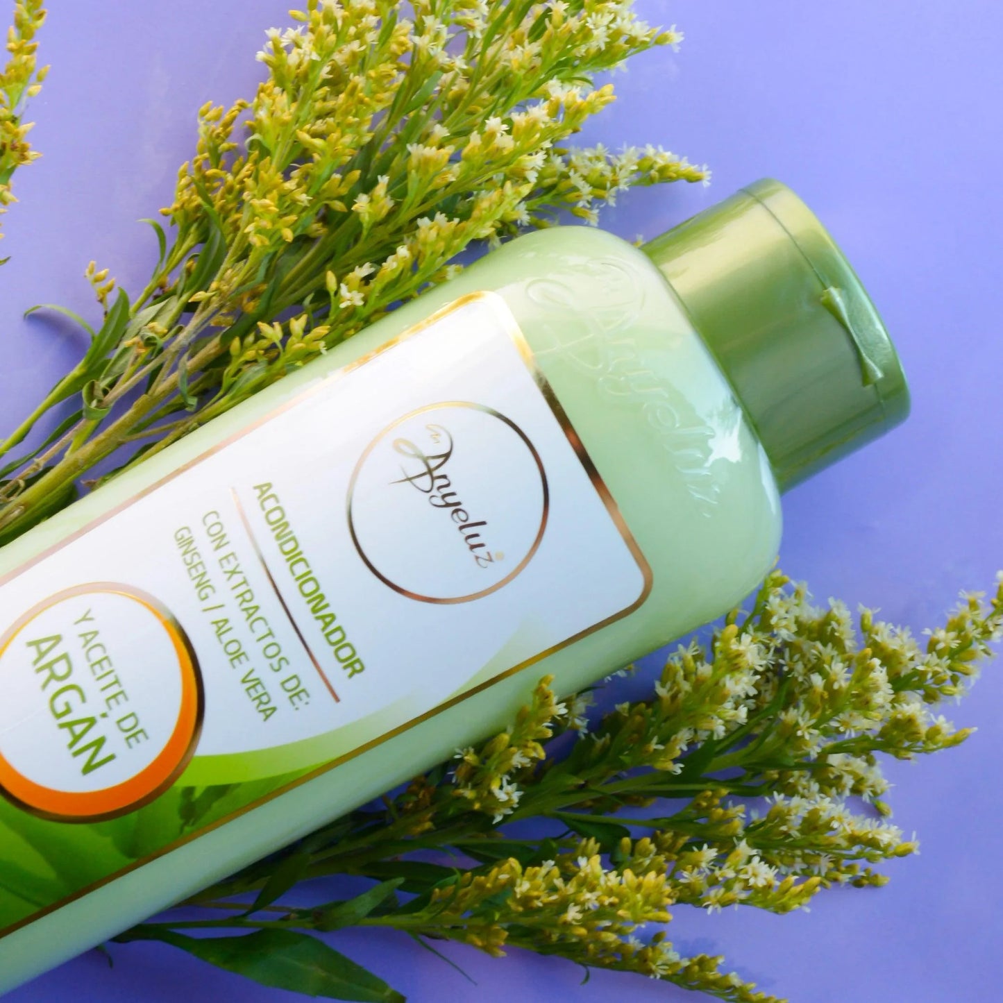 ACONDICIONADOR DE ALOE Y ARGAN  ANYELUZ