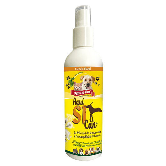 Aquí SÍ CAN adiestramiento spray 240 ml