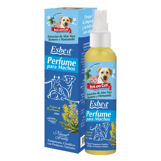 P&C Perfume para machos Esbelt 240 ml