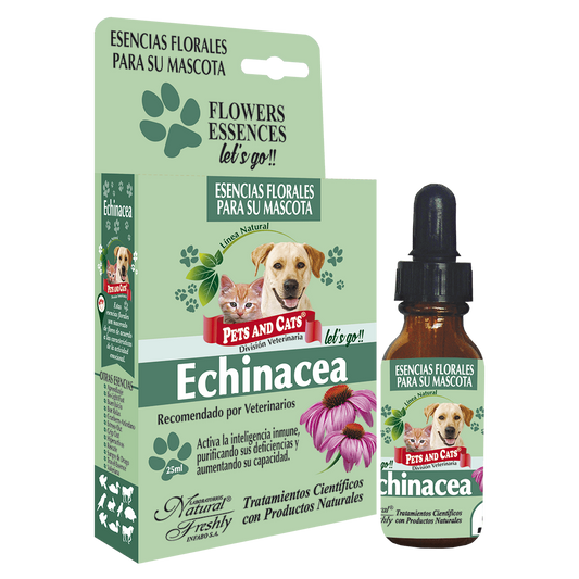 P&C esencia echinacea lets go