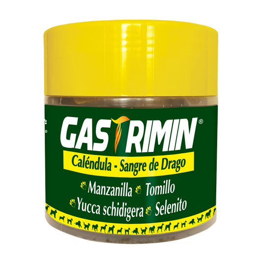 P&C gastrimin x 100 vitacrunch