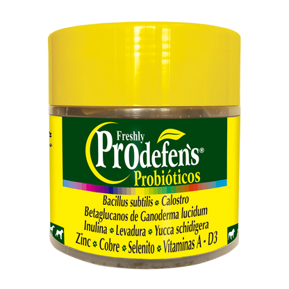 P&C prodefens probioticos x 100 vitacrunch