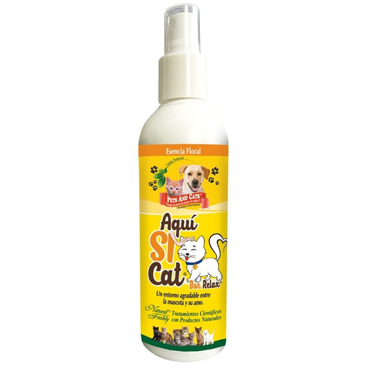 P&amp;C Aquí Sí CAT 240 ML