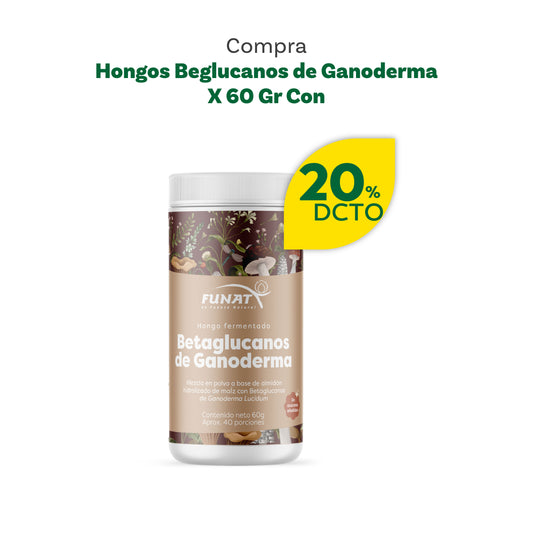 Reishi hongo polvo x 60g